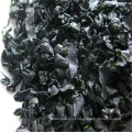 China atacado Kosher seco fresco algas wakame corte